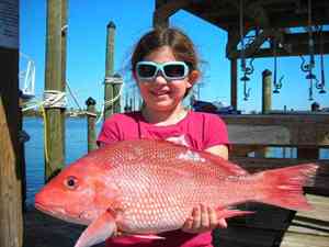 Gulf Shores Fishing - Orange Beach, Alabama 36561